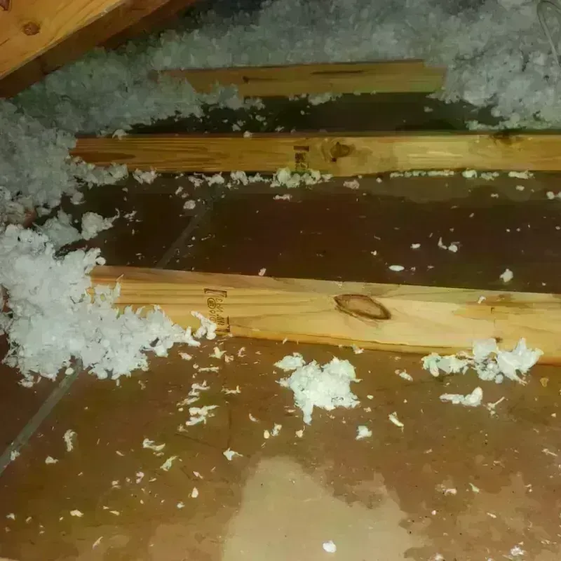 Attic Water Damage in Rising Sun, MD