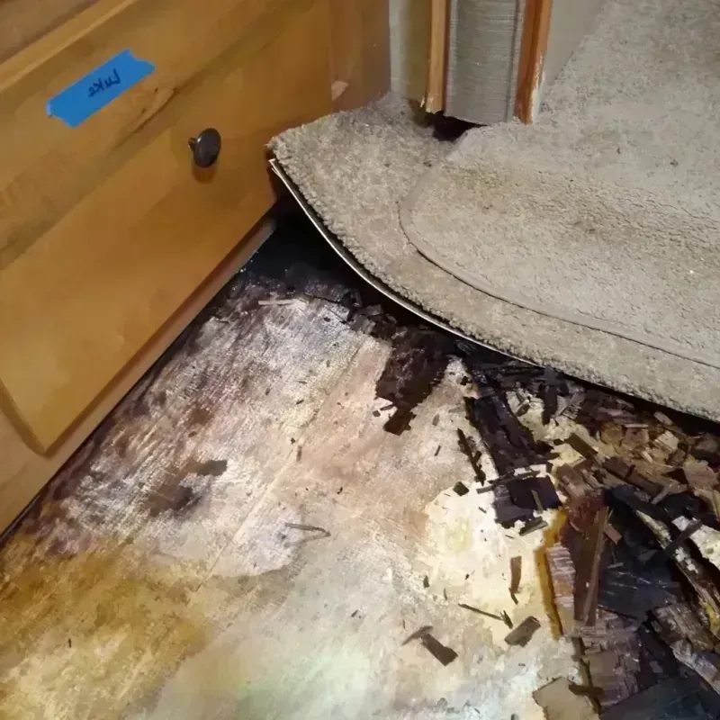 Wood Floor Water Damage in Rising Sun, MD